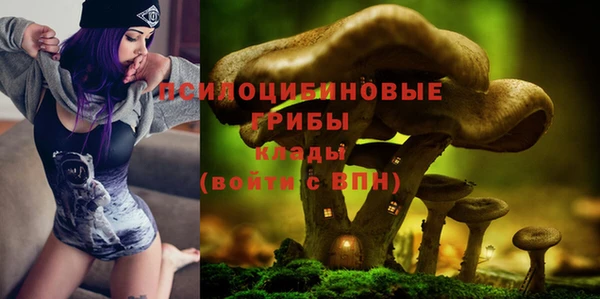 мяу мяу мука Алексеевка